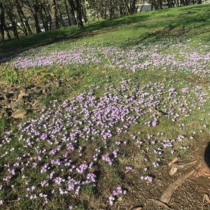 Meet your Posher, Angel